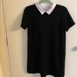 Zara white collared black dress